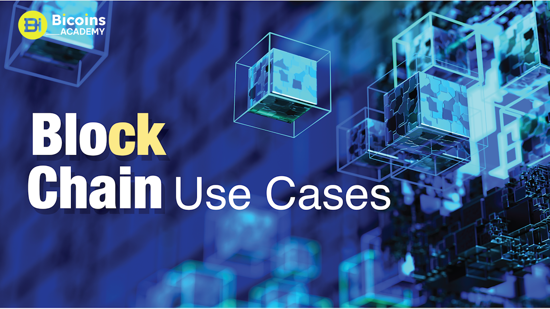 Blockchain Use Cases