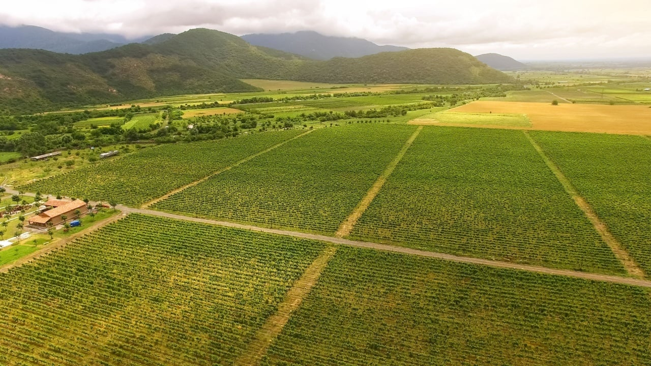 Georgia Secures $100M Partnership to Advance Tokenized Real‑World Asset (RWA) Agriculture Share quote to twitter-icon Farmway Technologies Inc. and Georgia’s Ministry of Environmental Protection and Agriculture announced a partnership to direct up to $100 million over five years into Georgia’s agricultural sector, building on Farmway’s existing $20 million investment.