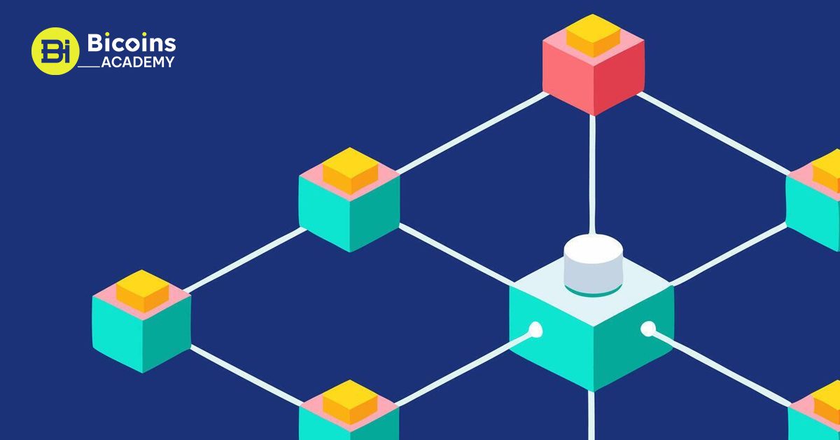 What-Are-Nodes